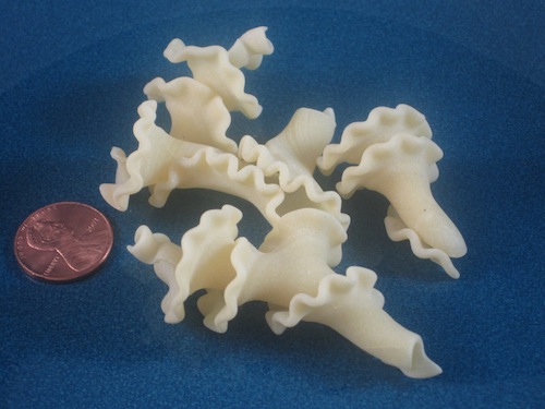 Pasta Shapes